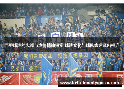 西甲球迷的忠诚与热情精神探索 球迷文化与球队命运紧密相连