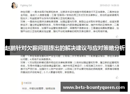 赵鹏针对欠薪问题提出的解决建议与应对策略分析